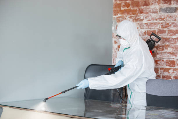 Best Mold Prevention Services in USA